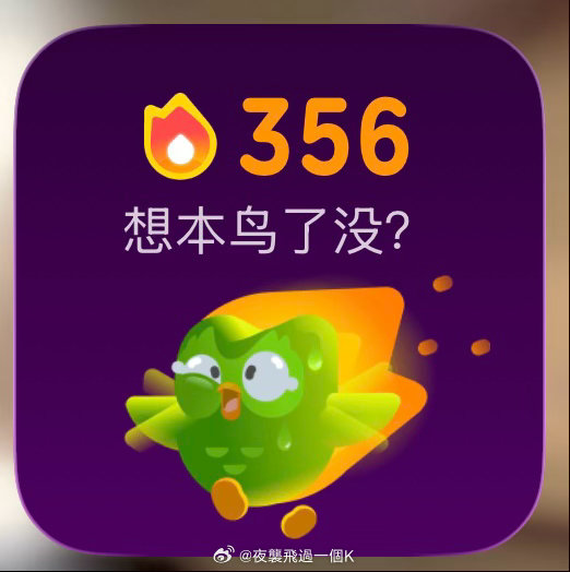 多邻国  356天