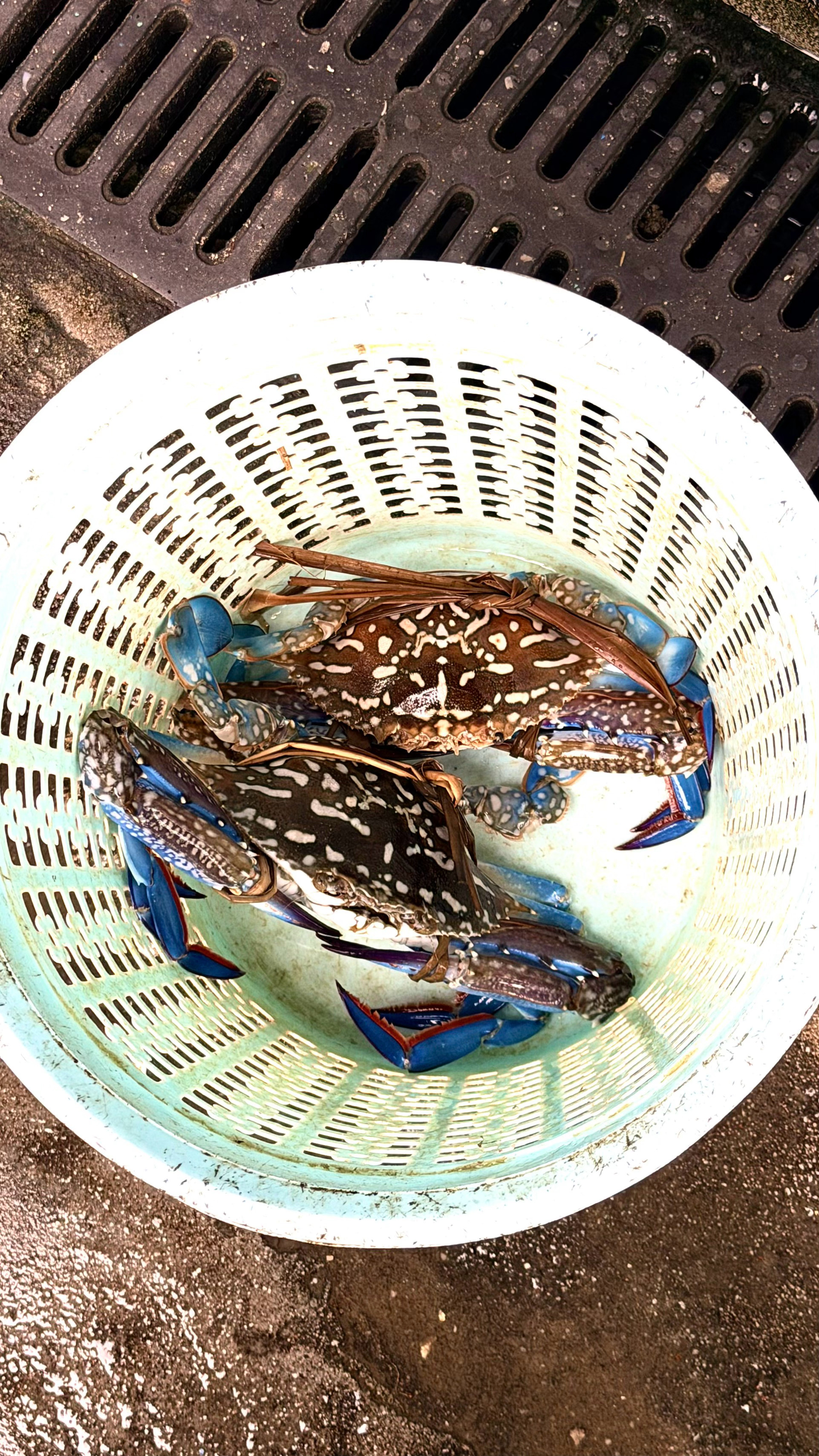 打包回忆📷👓🌿🌼​期待下一次走走停停的慢生活🔥 ​​​