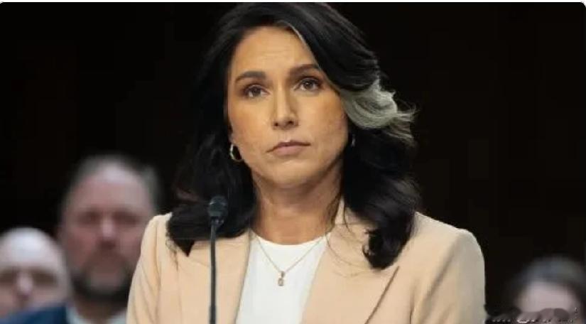 美国国家情报总监加巴德指出，北约和欧盟真正想法是把美国卷入与俄罗斯的战争。路透社