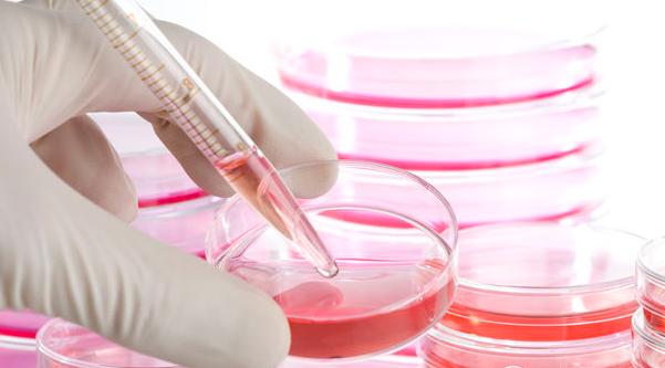 我和老公商量着清明假期回家检查身体，想尽快要二胎，就去了一趟医院，老公做了精子活