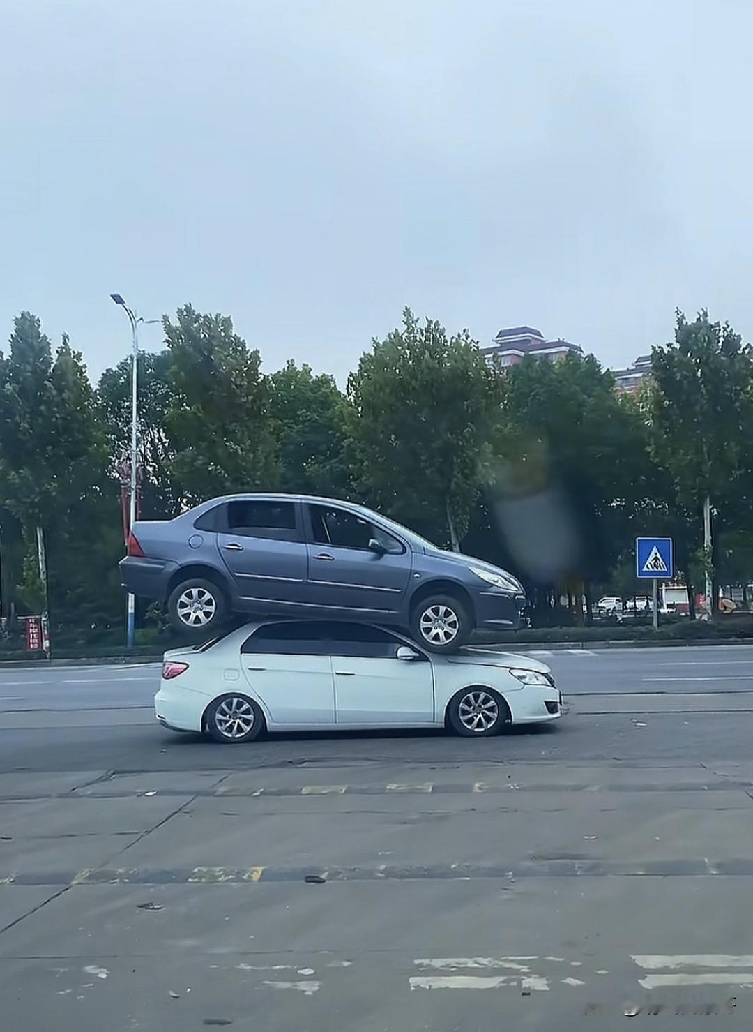 这开车技术不是一般的溜啊