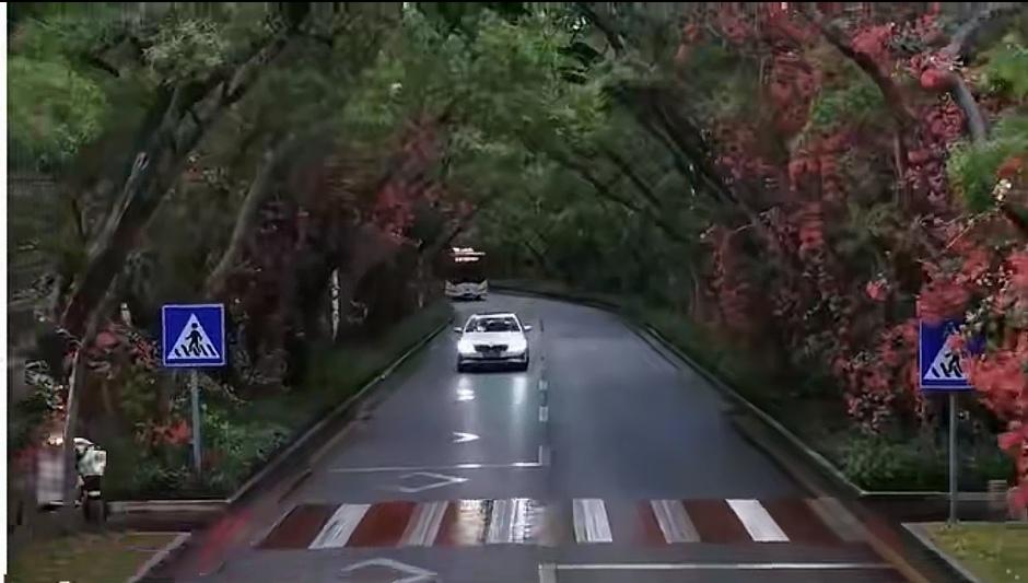 我们的路，越走越美！