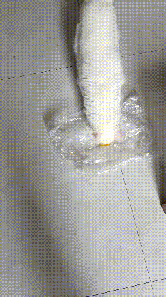 这只猫咪不仅吃猫粮、鱼和肉，还吃煮南瓜、蒸土豆，喜欢吃南瓜和土豆胜过鱼和肉，我称
