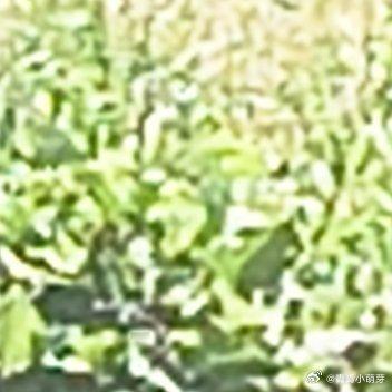 看懂生活的琐碎与无常，依然愿意热爱人间烟火。于平 凡日常里守住热忱，这便是普通人