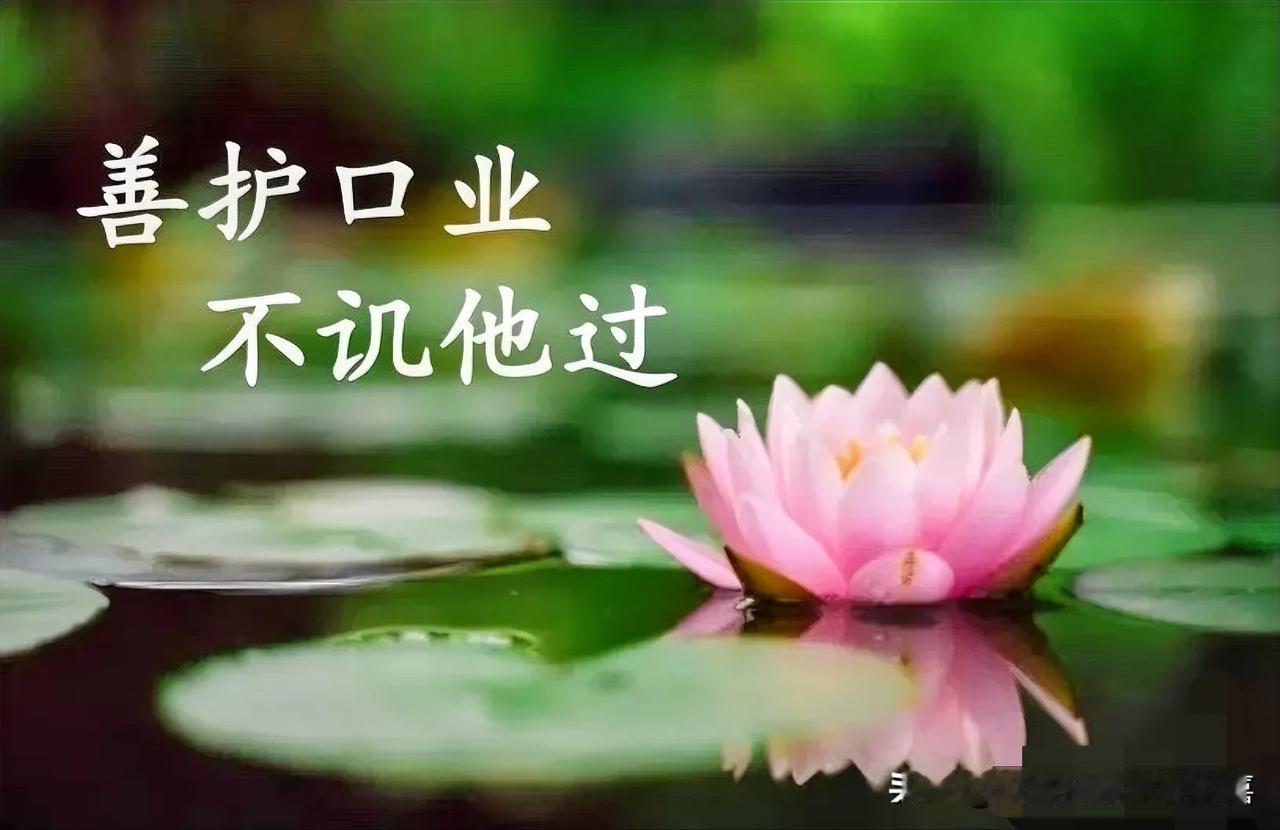 #秋日生活打卡季#
这一段时间很平静，冲突很少。他说话也很少挑起战火了，他只要不