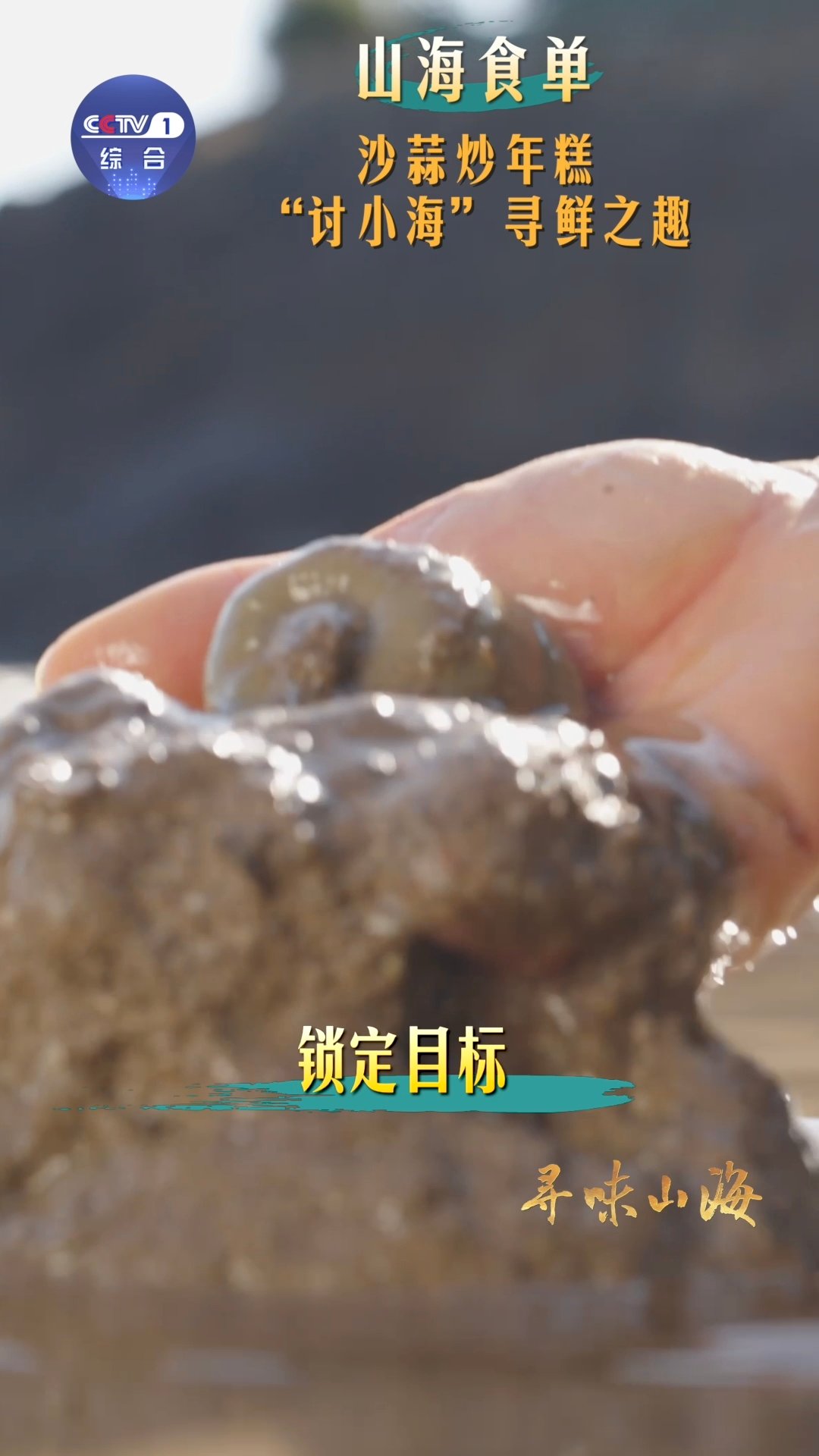 沙蒜不是蒜是海鲜因外形像蒜、生活在泥沙中而得名，沙蒜虽是不起眼小海鲜，却是台州湾