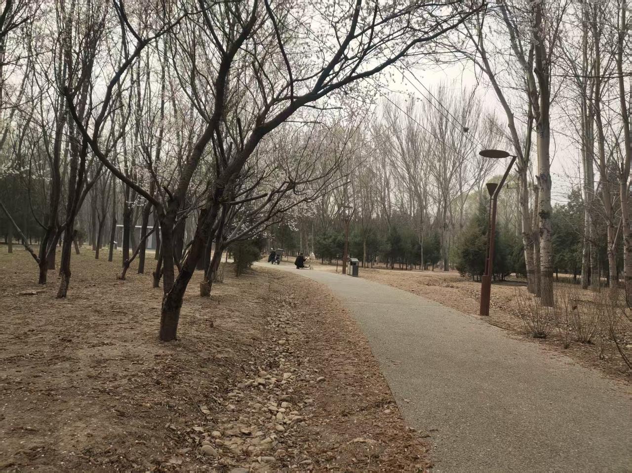 北京顺义公园的春天就是美丽动人，城小人稀，更是浏览春天最佳之地，我不喜欢游人如织