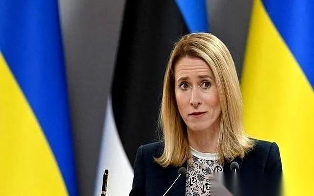 今天又“大开眼界”了！
一位欧盟的女高官，看完我国的大阅兵之后，公开表示：第1次
