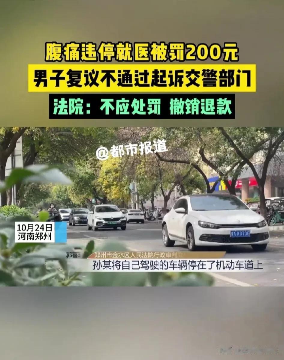 男子违停被交警处罚200元，提出行政复议未通过，起诉交警部门获法庭支持。

在河