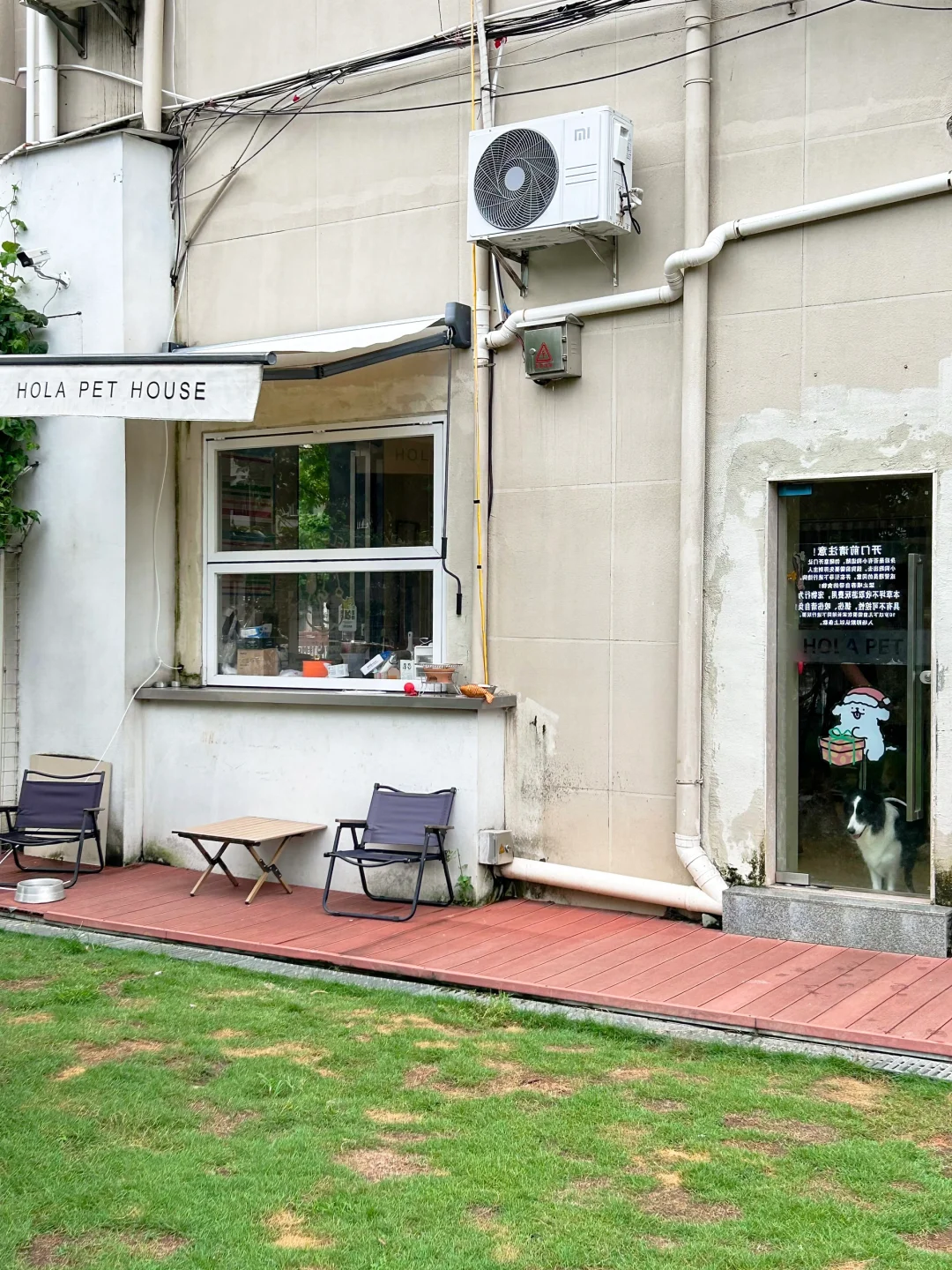 东莞探店🐶自带400平草坪的宠物店