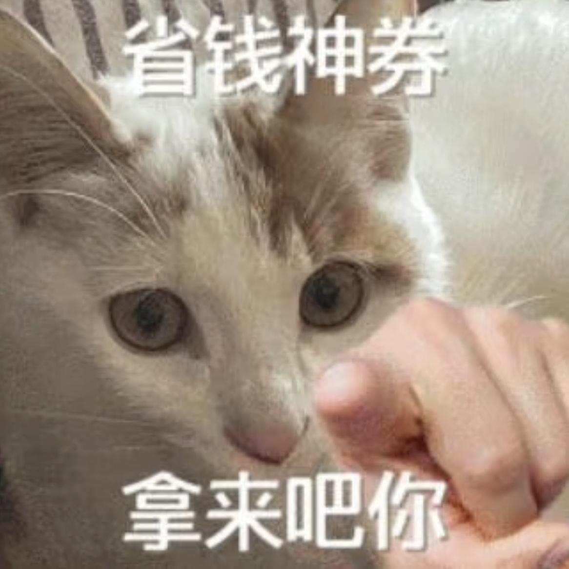想到五一放5天假，我就活过来了！想到五一放5天假，我还可以薅美团的按摩、出行、酒