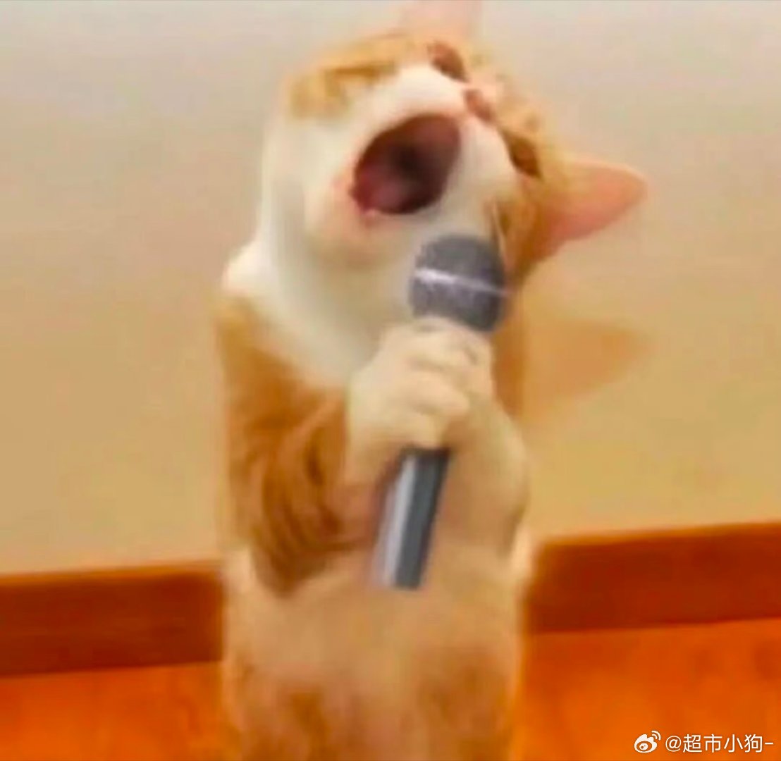 宝宝你有点太萌了 ​​​