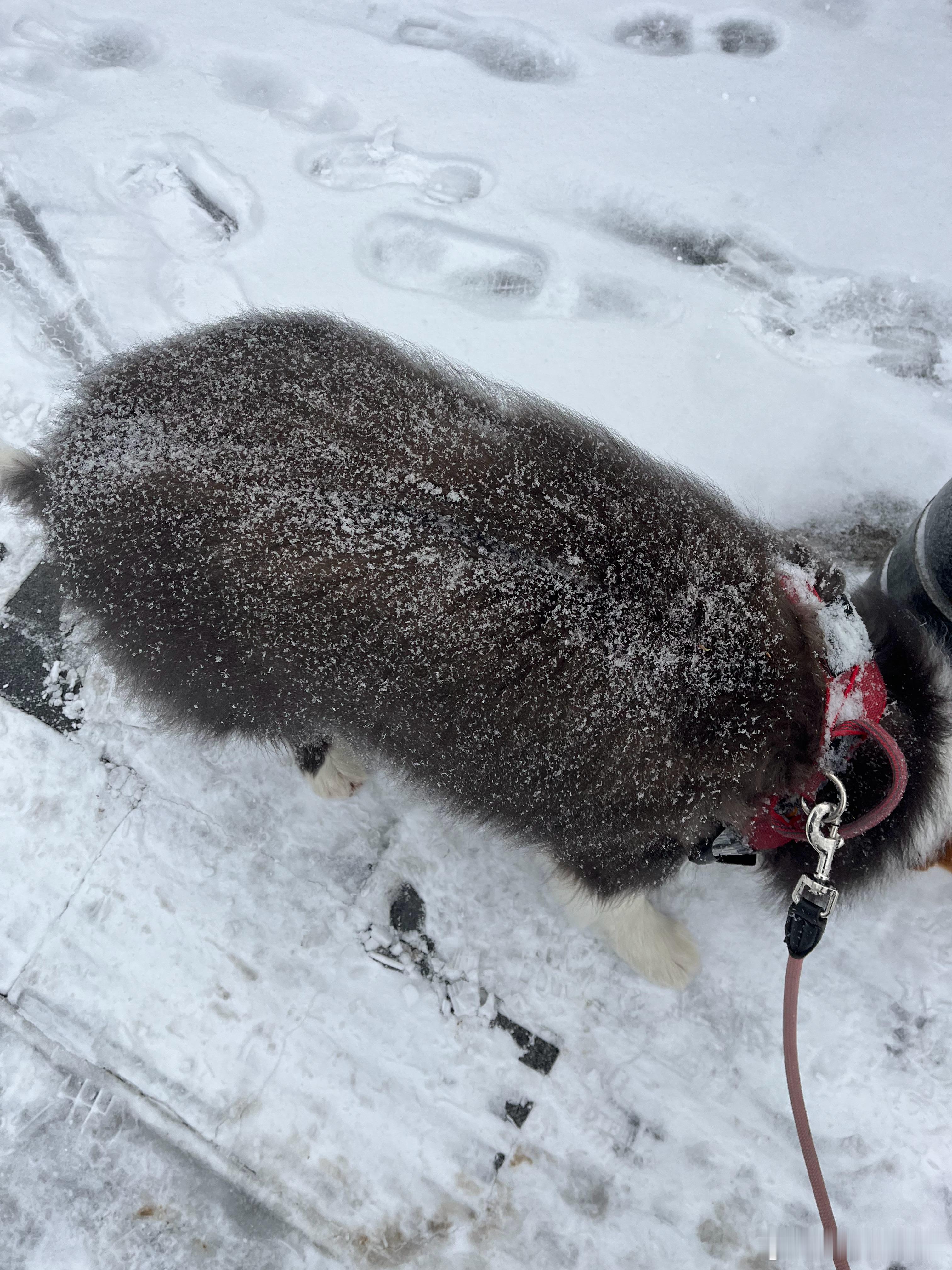 出门先摔一大跤 南京