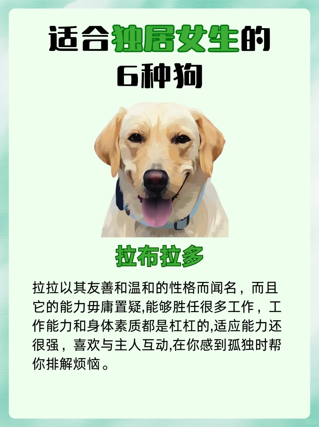 最适合独居女生的 6 种狗🐶