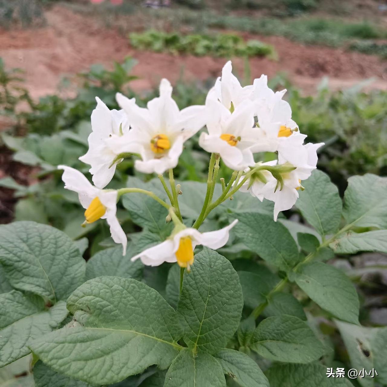 负债逾期后，想通了，人这一辈子，别总想着顾及这个、顾及那个，把自己活得那么累。