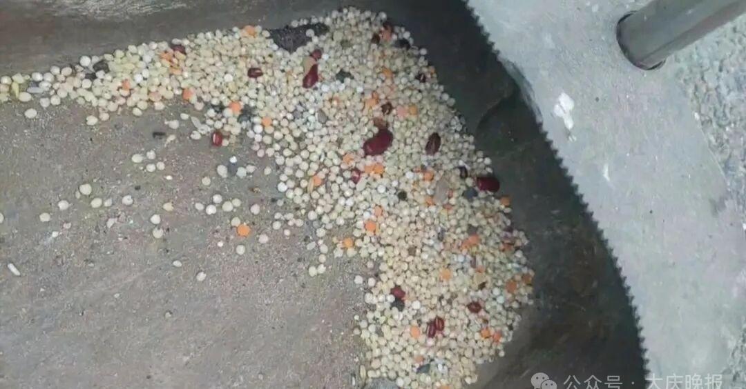 【有人投食！有人投毒？事发“悦城馨苑”↘ 】
进入冬季后，东风新村悦城馨苑小区的