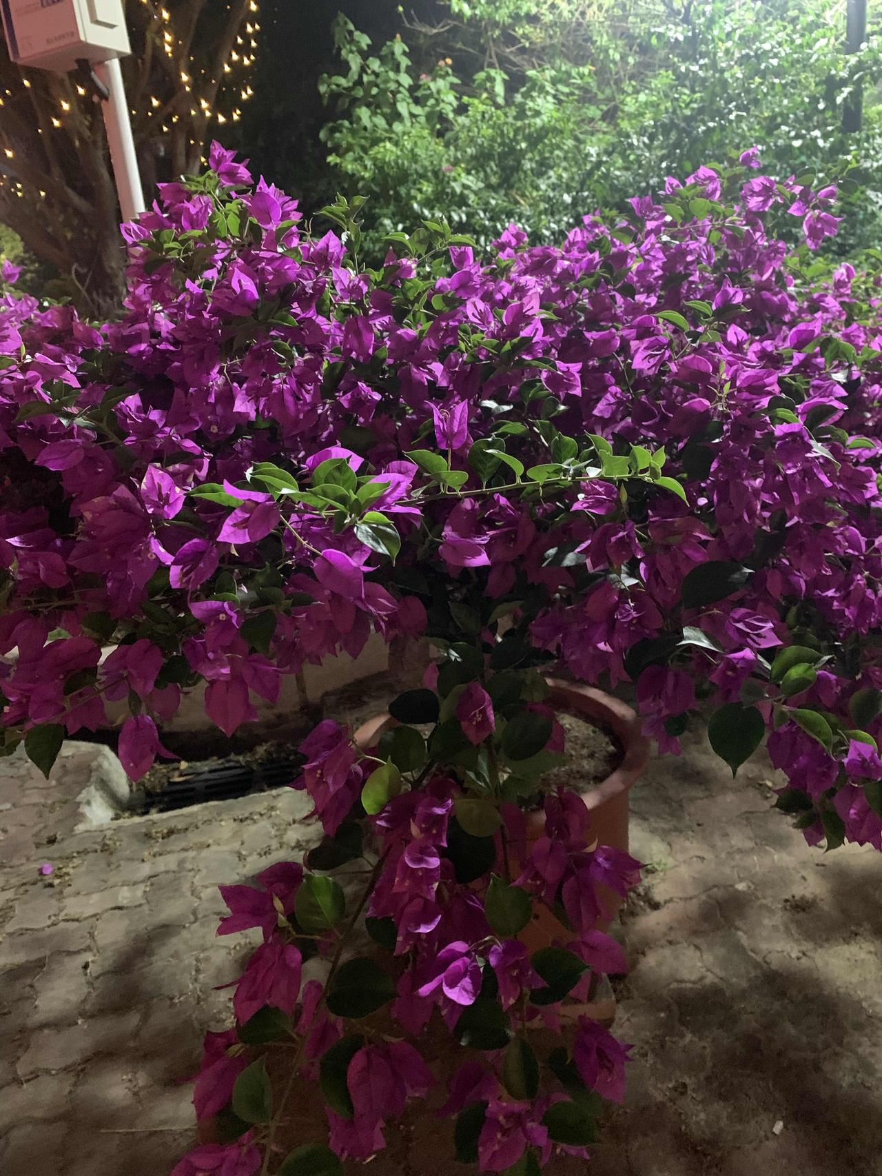，谈了一个当地的女朋友，女朋友家要求男方在女方所在的城市买房结婚，并且要全款还要
