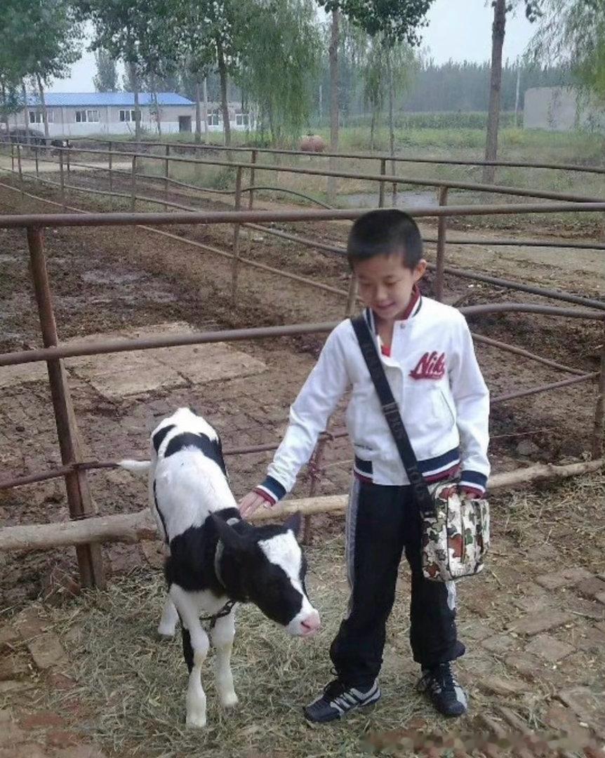 幼头王楚钦