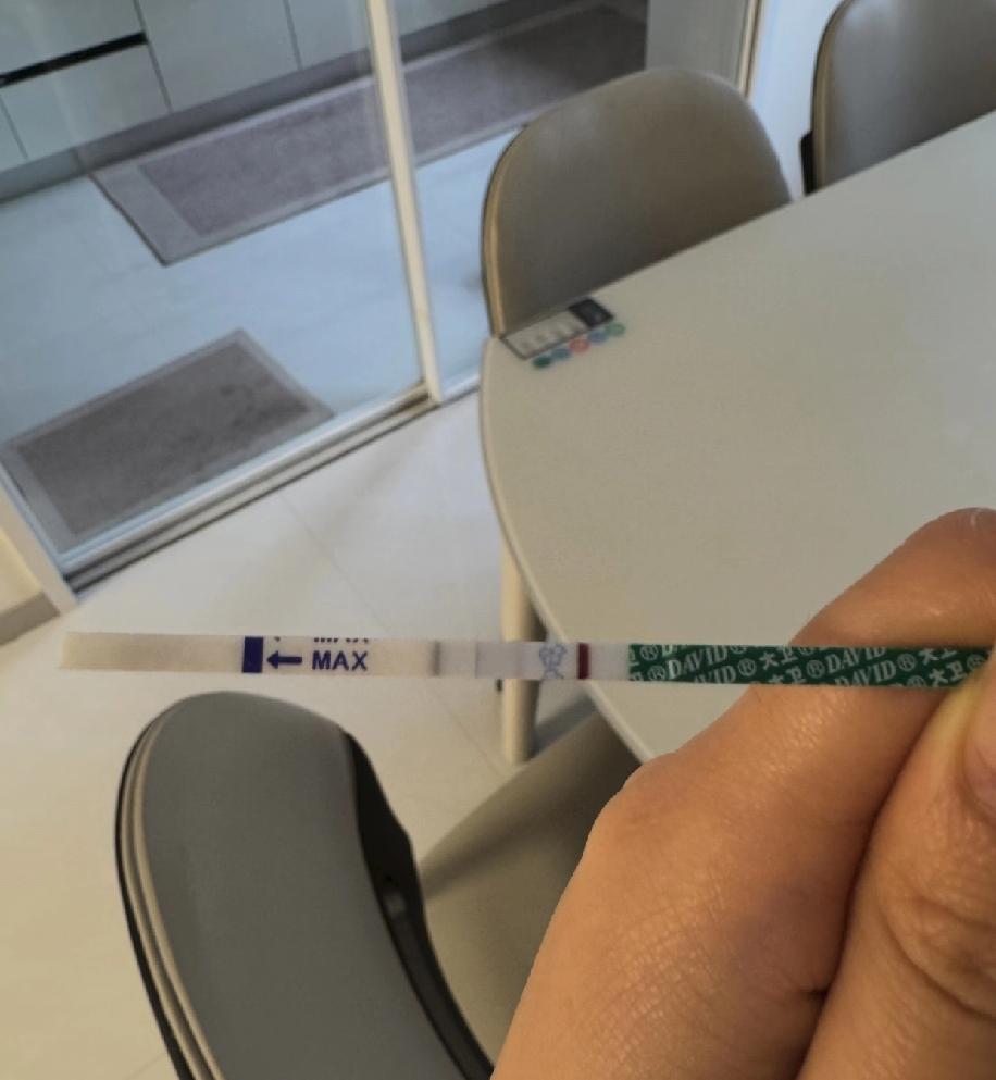 时隔三个月，我又怀上宝宝了，心里满是惊喜。前几天闲着刷小红书，看到有人说可以用豆