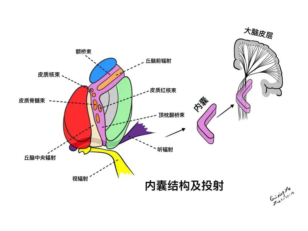 世。”   “我知道，听说是她一直在吃药，但你觉得真的是这个药的问题吗？”   