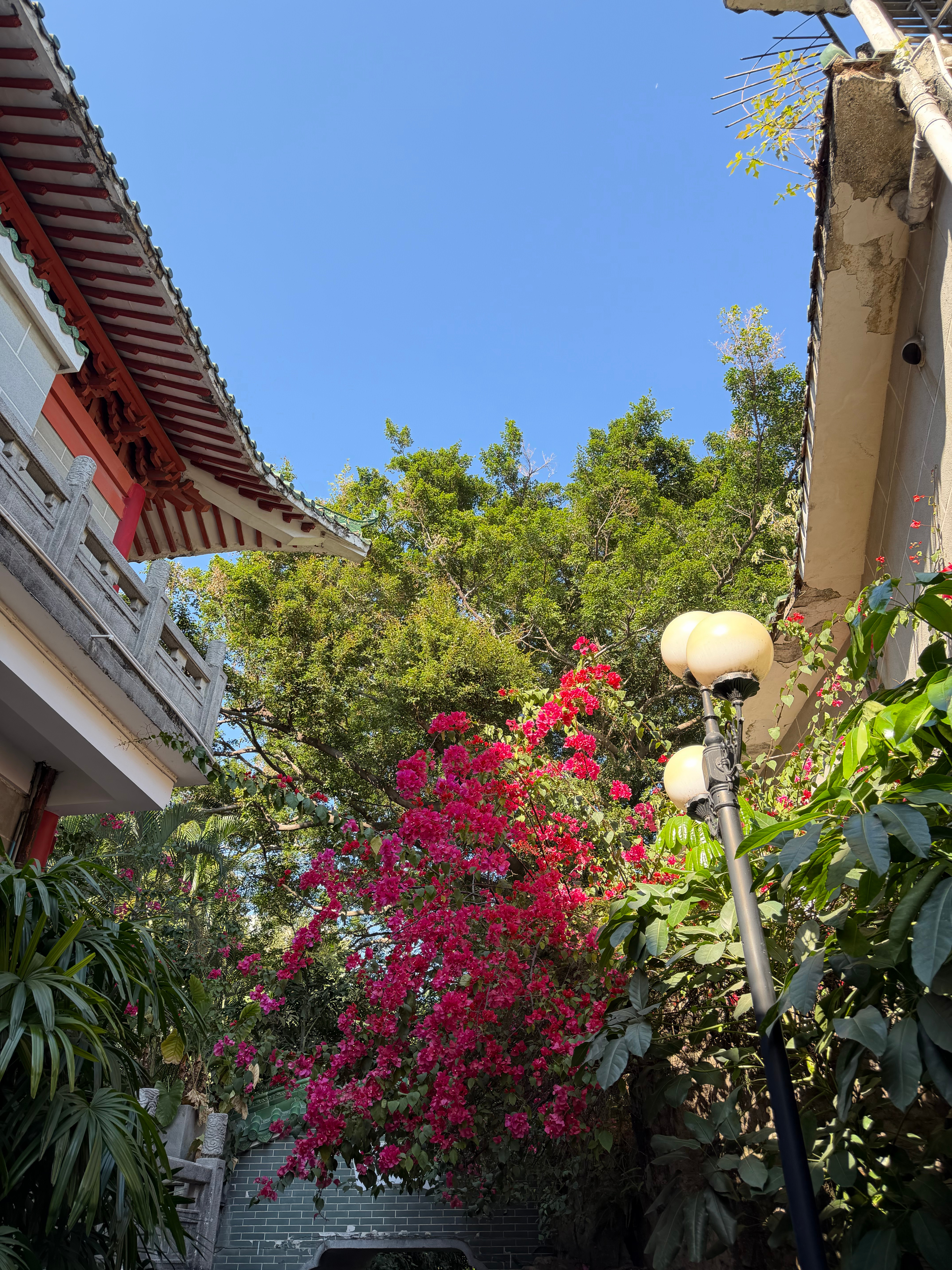 出门晒太阳 广州·东山湖公园