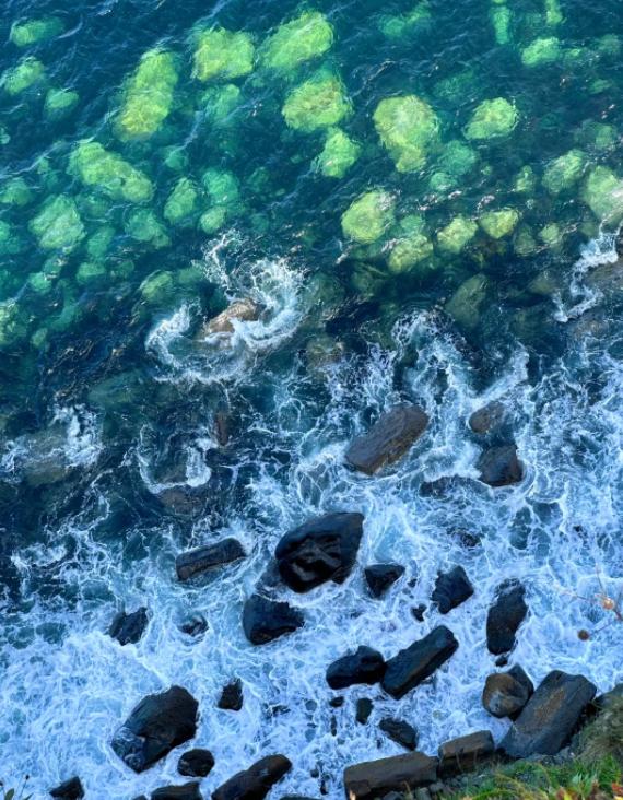 匈牙利对俄务实表态，欧盟内部分歧加剧
亲爱的朋友们大家好，我是海林小百科！今天我