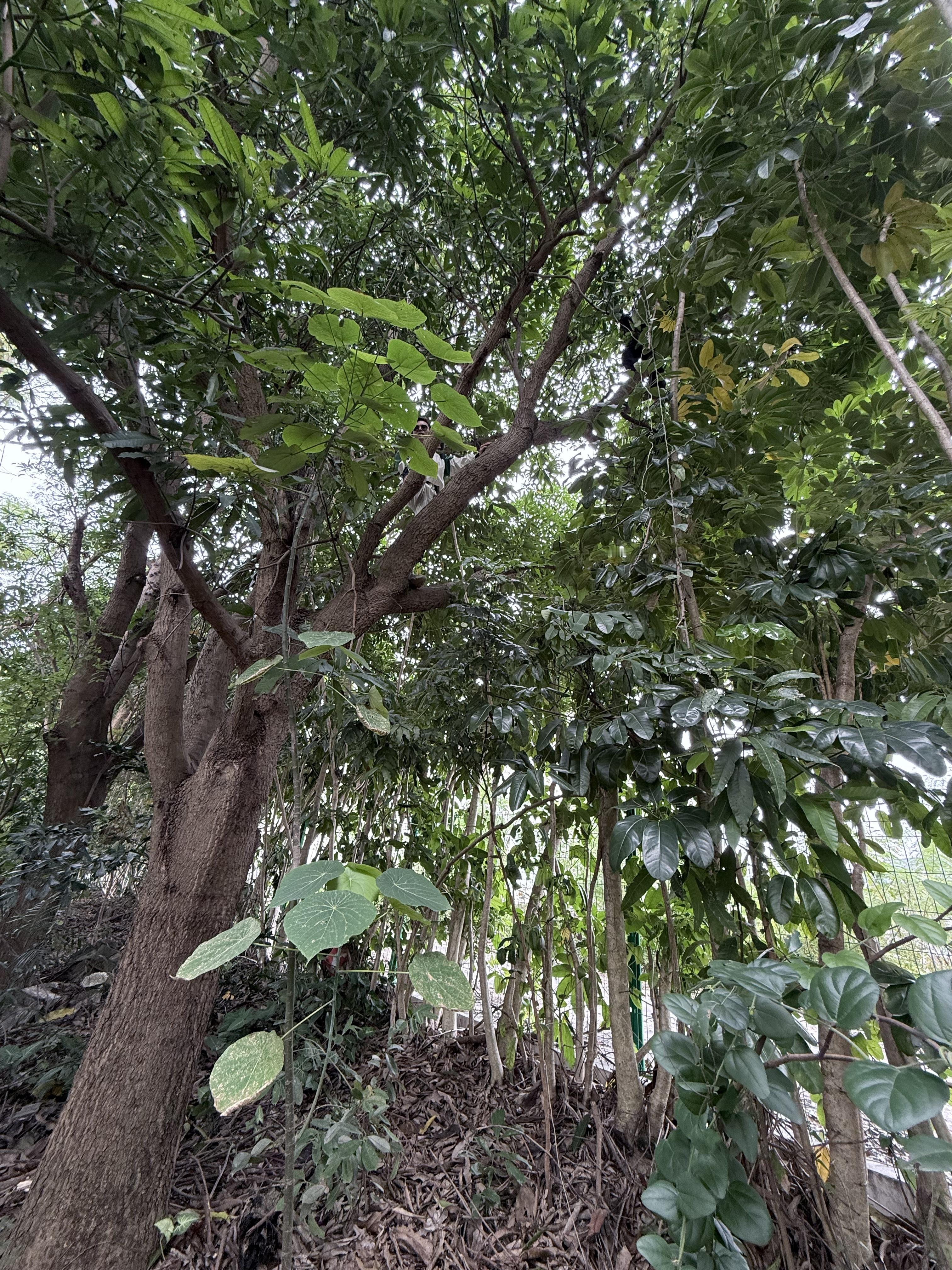 妈的今天外拍，飞机炸机了！！！打119求助但这个不在他们的救援范围内我们只能自己