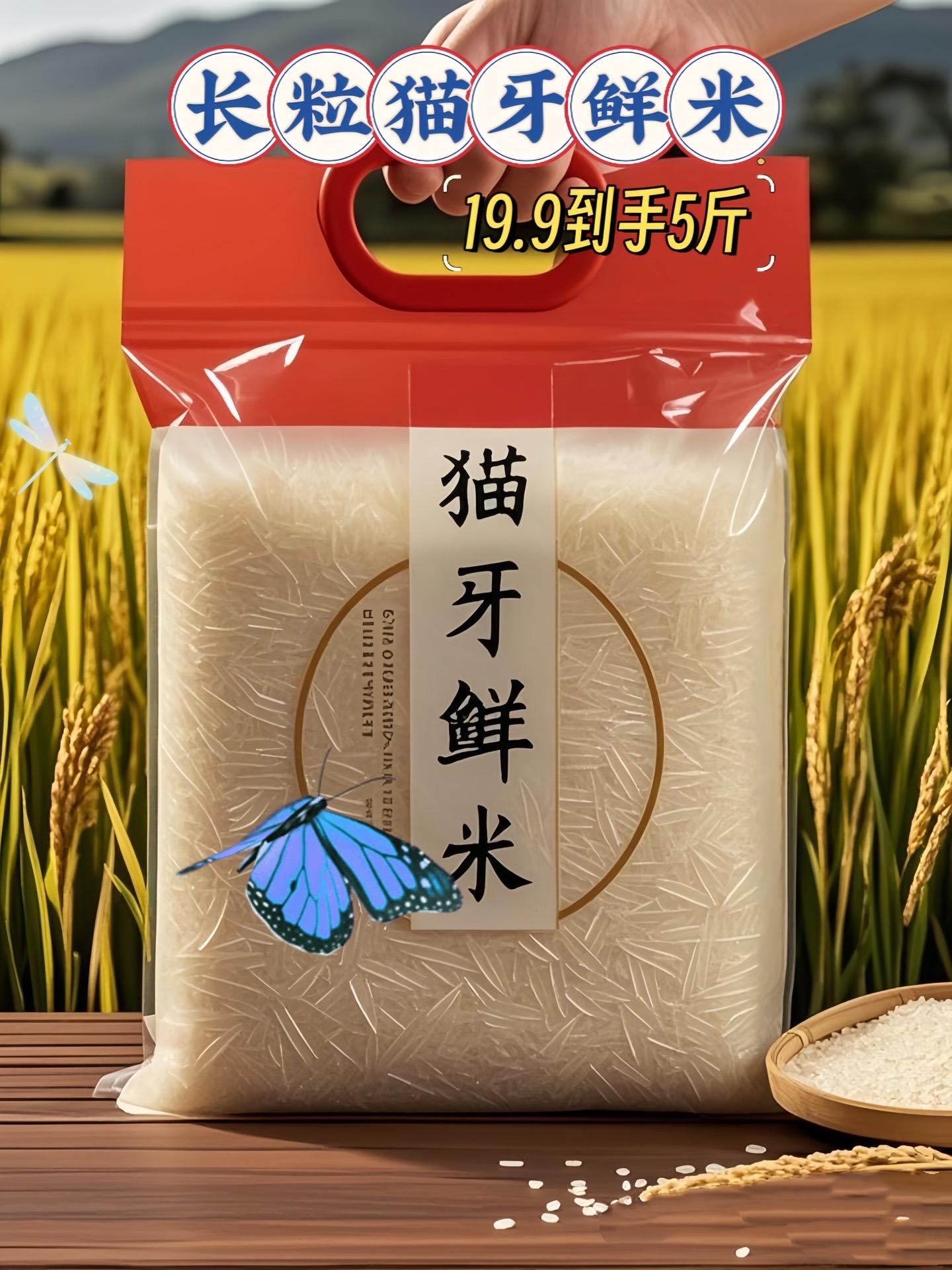 家人们，还在为选不到好米发愁吗？快来瞧瞧。这米，形状就像猫牙一样独特...