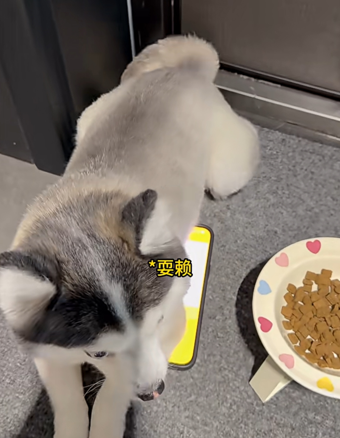 支付宝辟谣狗腿付网友称狗腿付才是真接地气称呼只是玩梗，实用性才是衡量标准✨听从指