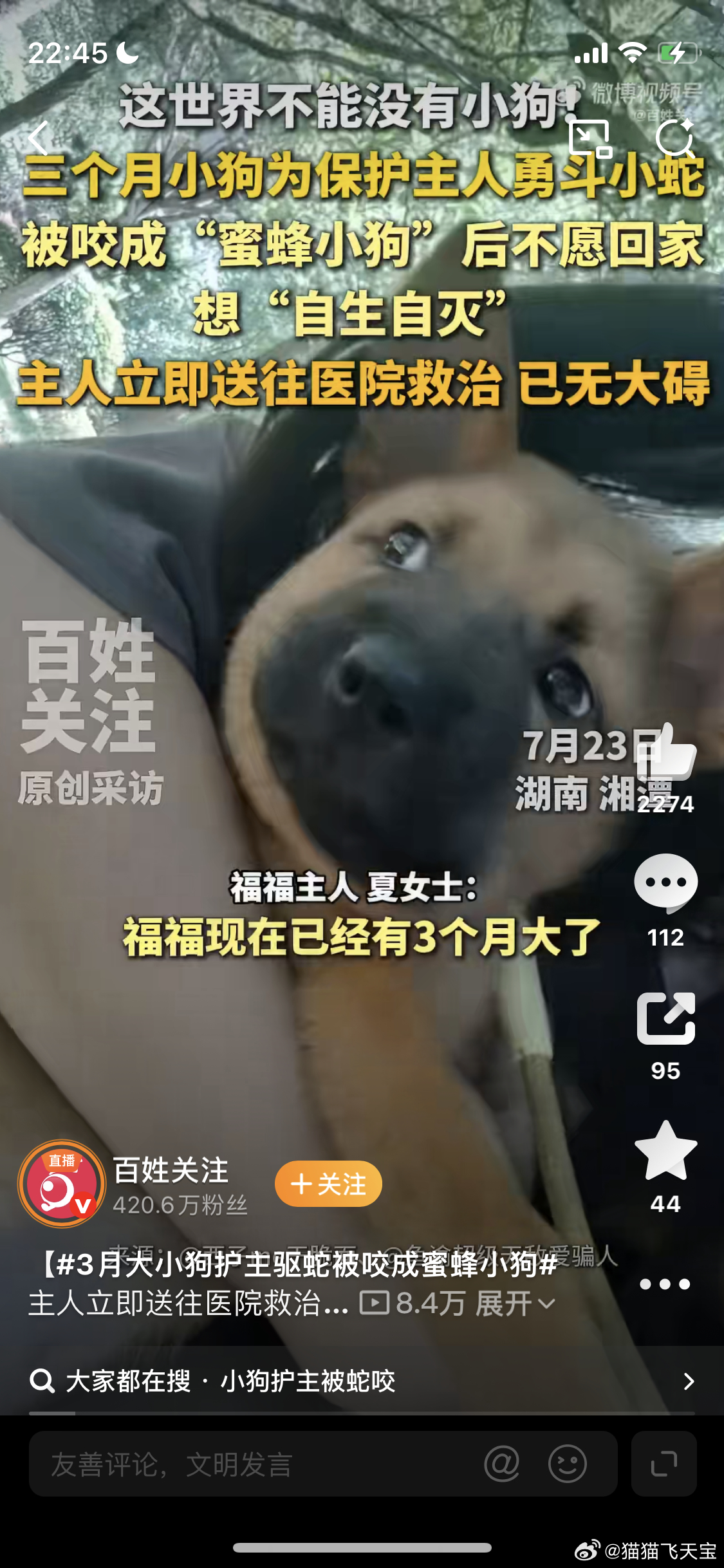 小狗护主被蛇咬以为活不了不愿回家所以我家的狗，但是老了之后，怎么样都不肯在家里，