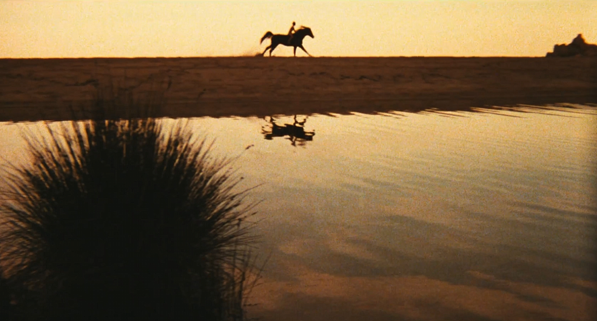 非常喜欢的一段话：允许优秀和平庸，允许出错和休息，生活应该是自己的感受，而不是别