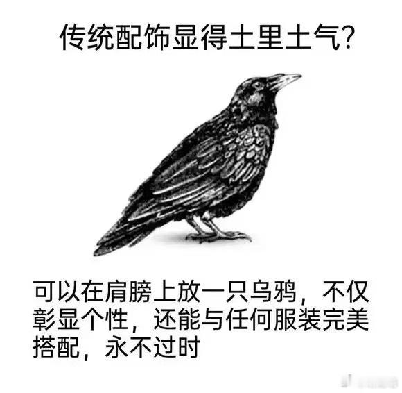 鸦鸦积累 