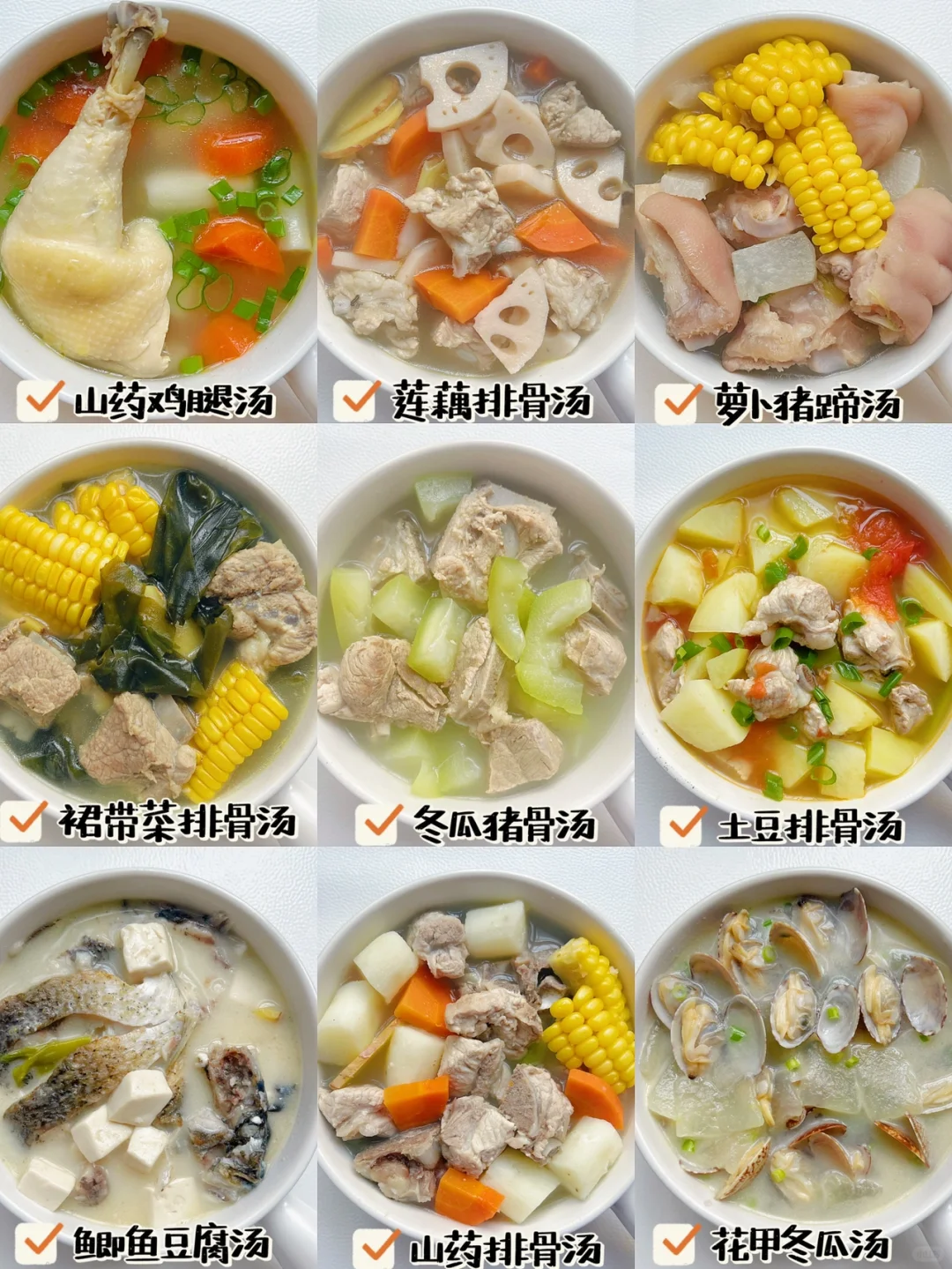10M➕营养美味炖汤合集不重样 | 一家都爱！