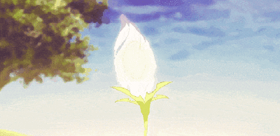 太阳升起，k线翻页。交易的核心从不是侥幸，而是概率把控+铁律执行，别让情绪左右操