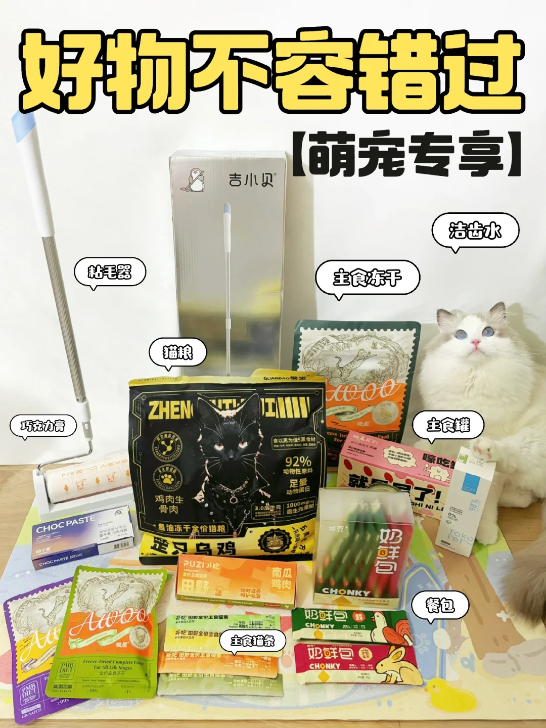 【萌宠专享】好物不容错过！