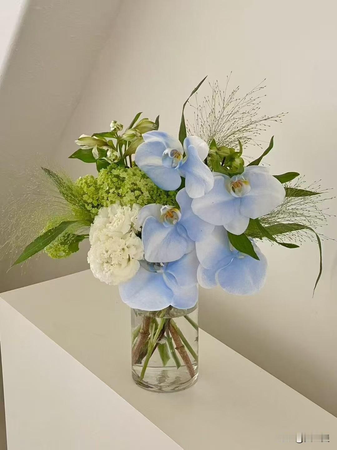 生活美学｜花艺之美
插花时总在想：
好的作品，
从不是花材的堆砌，
是和生活的悄