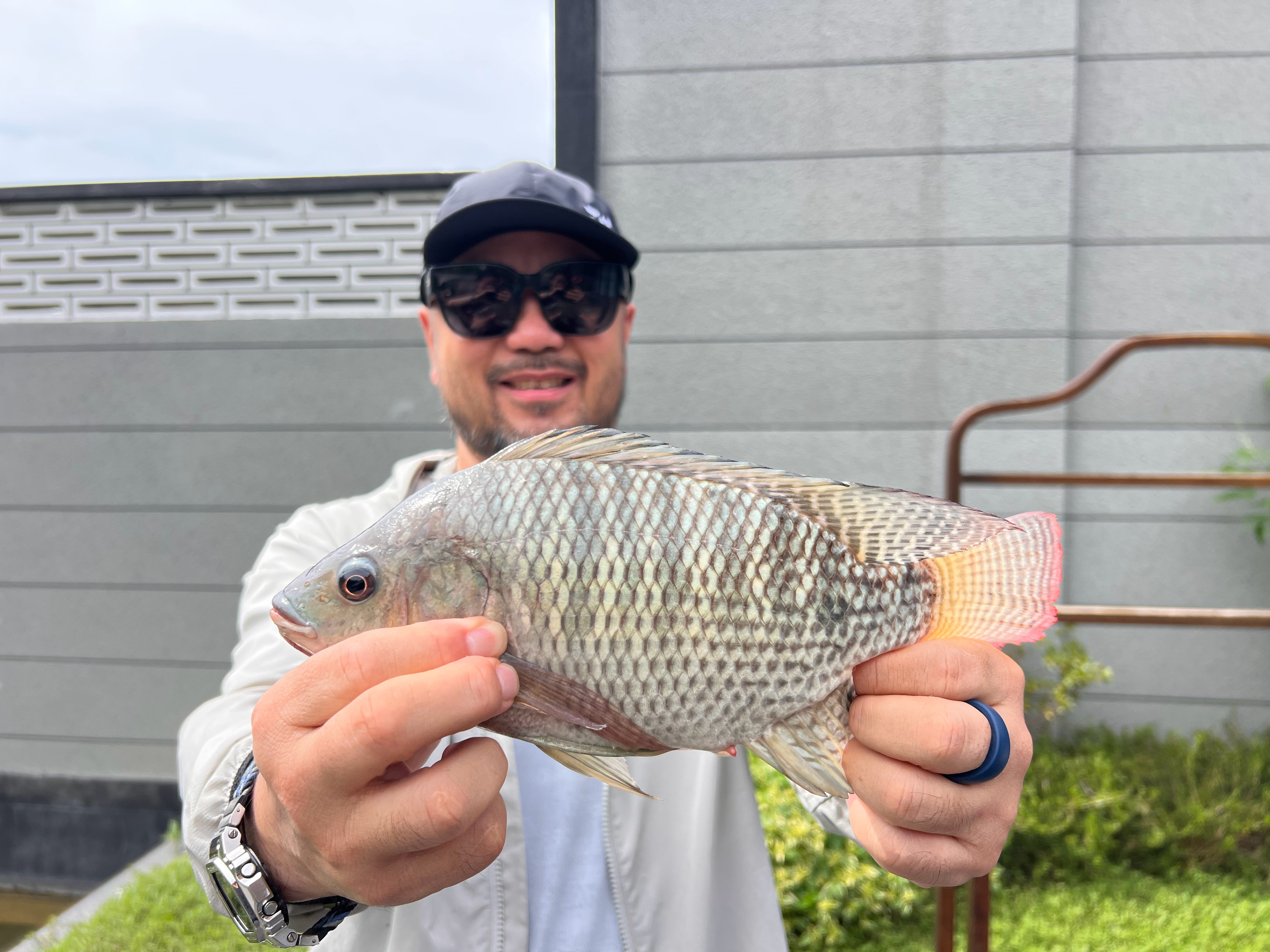 收竿鱼回家 珠海·珠海香山迎宾馆美高梅华府酒店