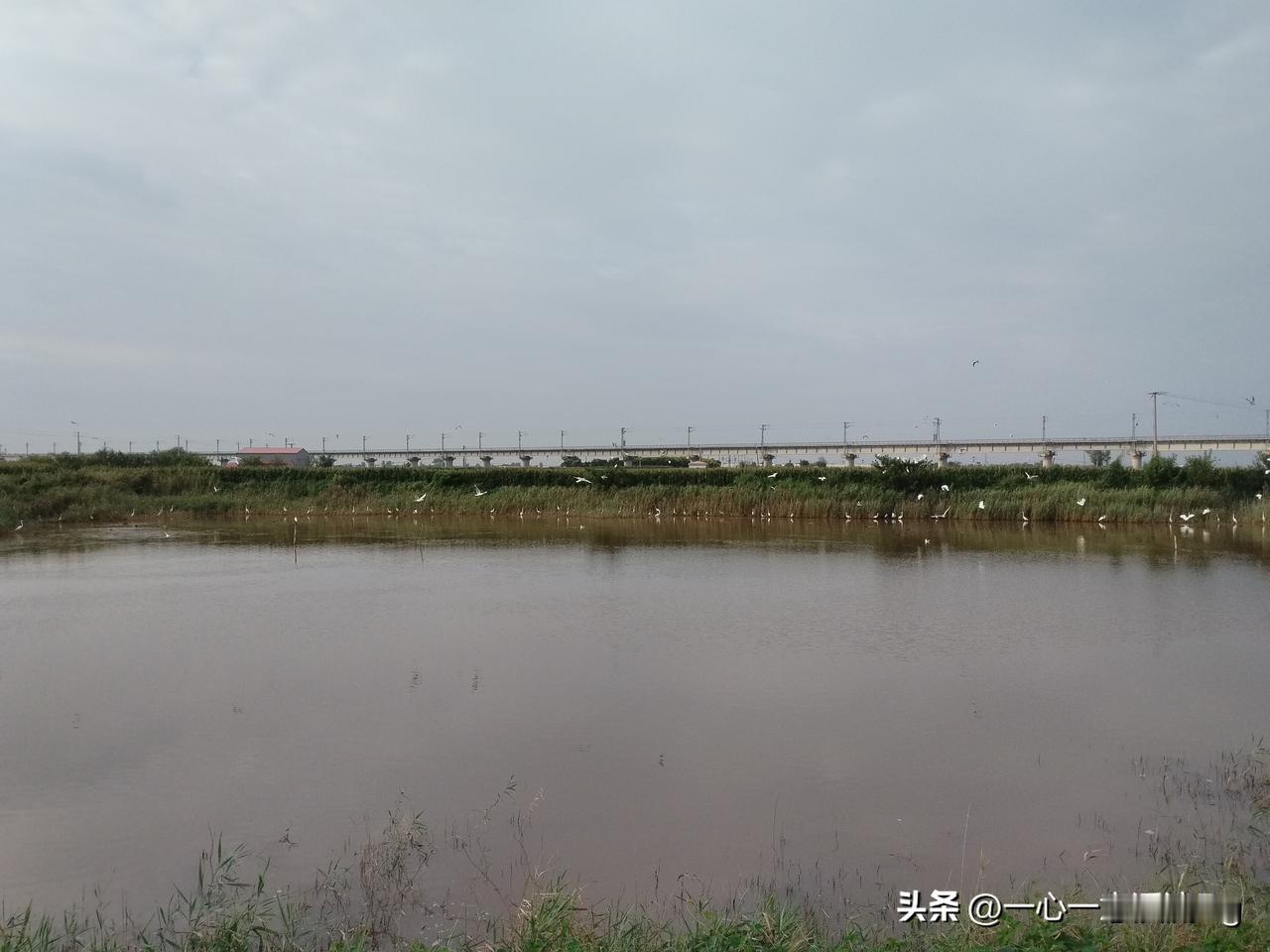 众友友早上好！
今天是8月27日星期四，日出时间5.35分，日落时间6.48分，