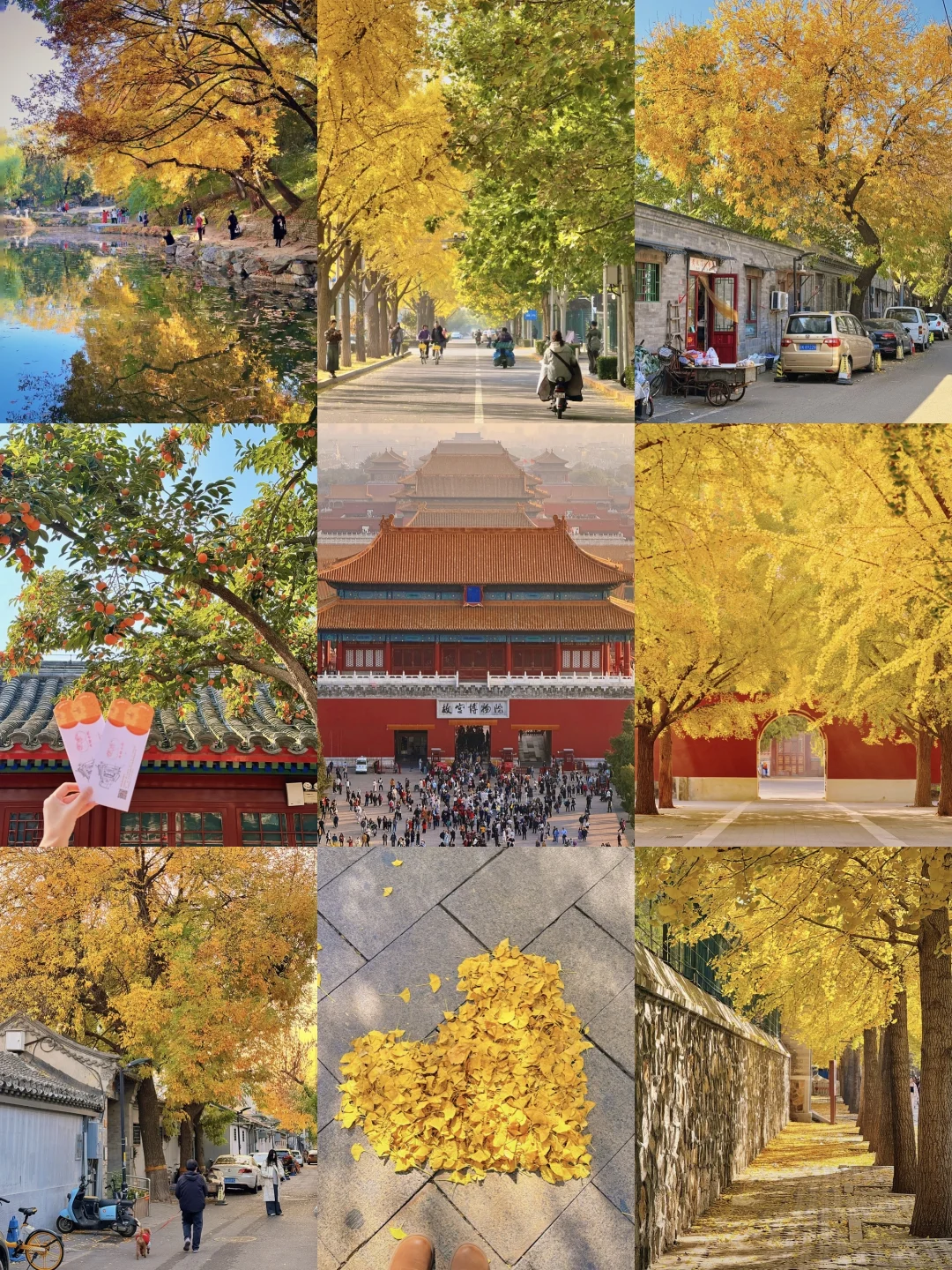 北京秋日🍂必打卡5条Citywalk路线🗺️附攻略