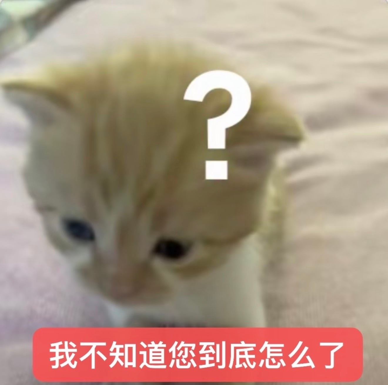 本届世界杯我看好的队伍全回家了佛得角vs阿根廷 佛得角 挪威vs巴西 巴西 挪威