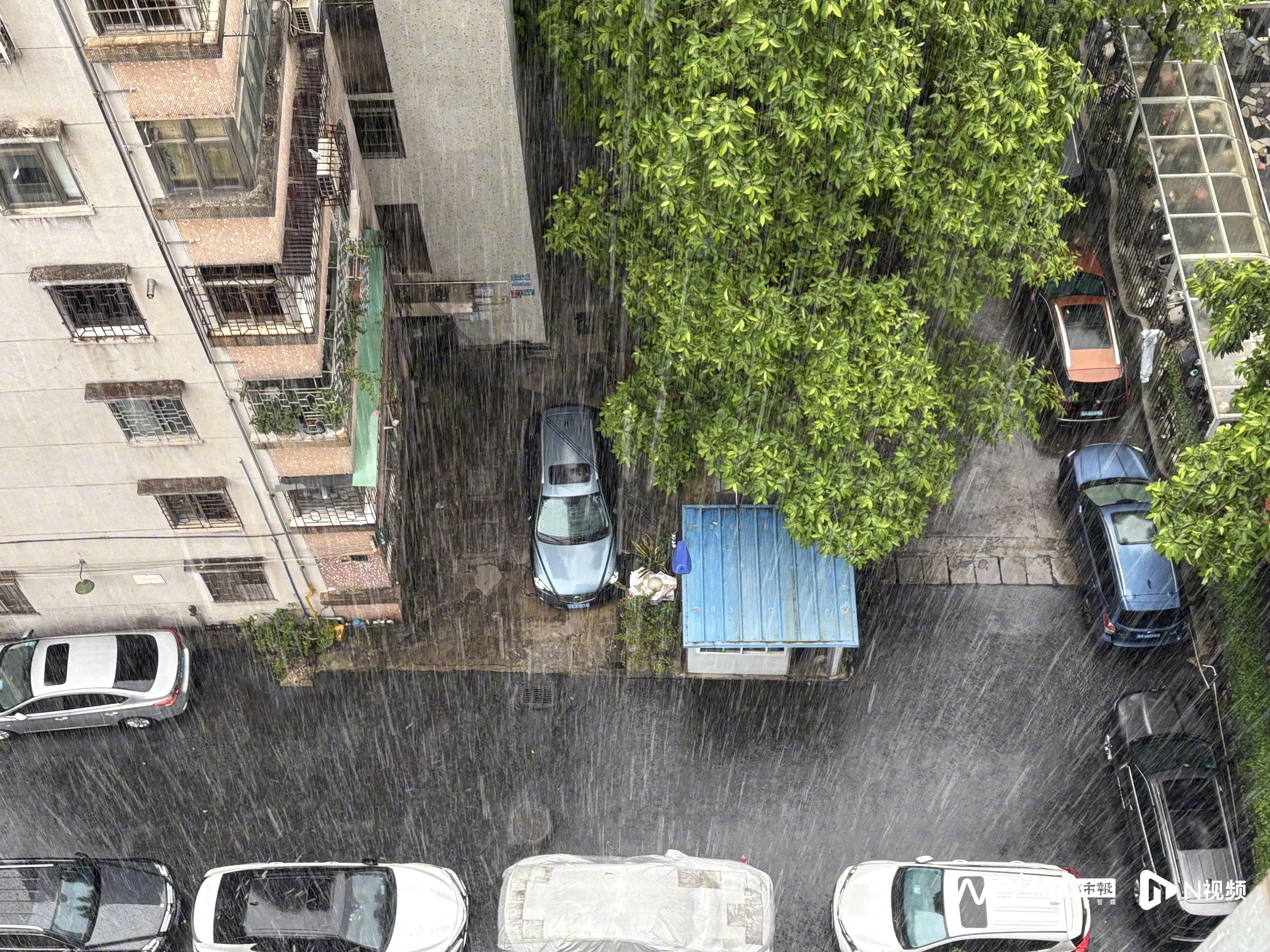 #广州下班雨来袭#【“下班雨”来袭！广州越秀天河暴雨黄色预警生效，伴有强雷电】7