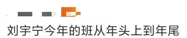 刘宇宁今年的班从年头上到年尾刘宇宁今年从年头忙到了年尾！这一年他对事业最纯粹的热