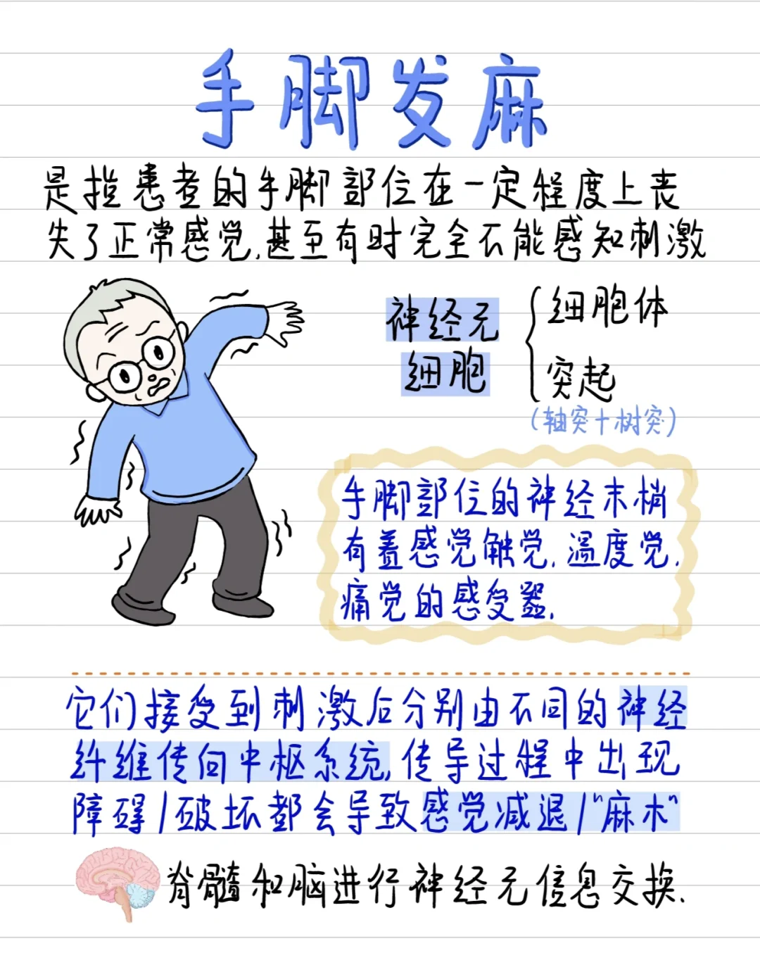 医学生笔记-手脚麻木