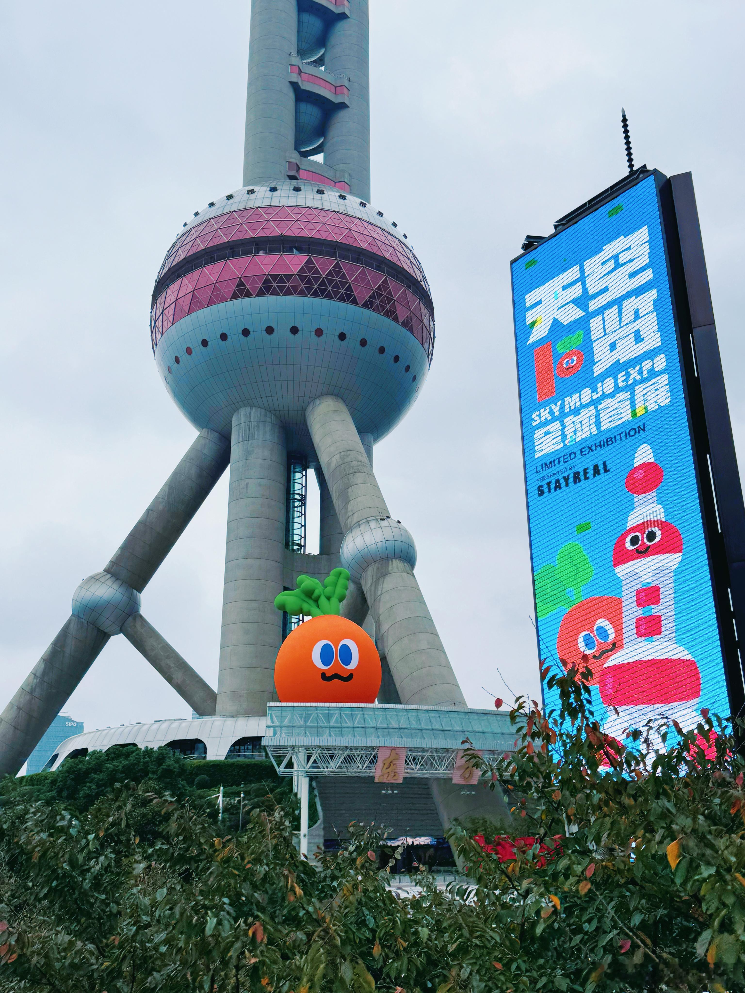 门前老树长新芽，胡萝卜走进千万家！ 