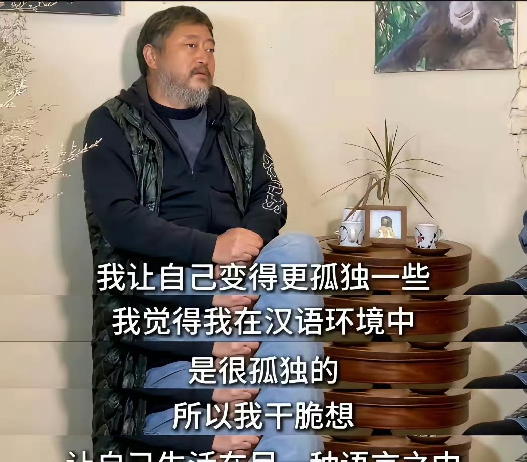 一位生活在国内的诗人说，他生活在汉语环境中，是孤独的！我总是想这些老殇逼，为啥不
