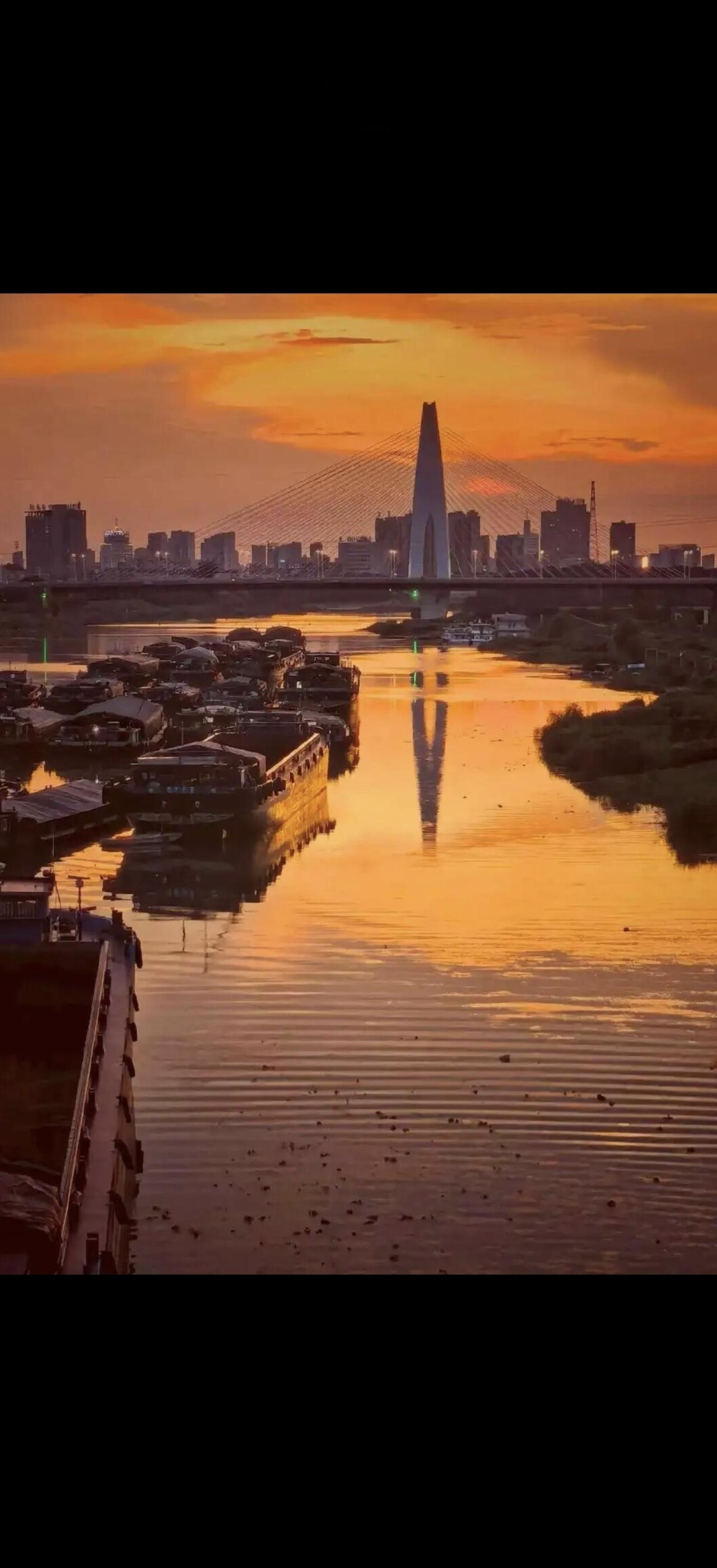 日暮江边影，孤帆远客心。