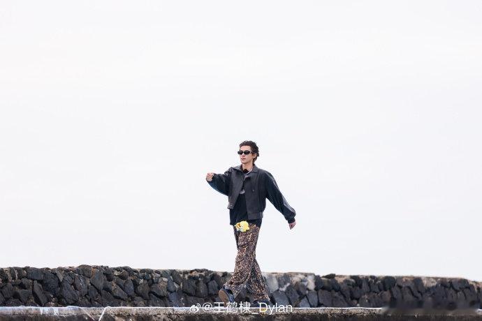 王鹤棣粉丝购买力 svip稀缺装扮限量10万份，未公开物料帅的人眼前一亮不说，还