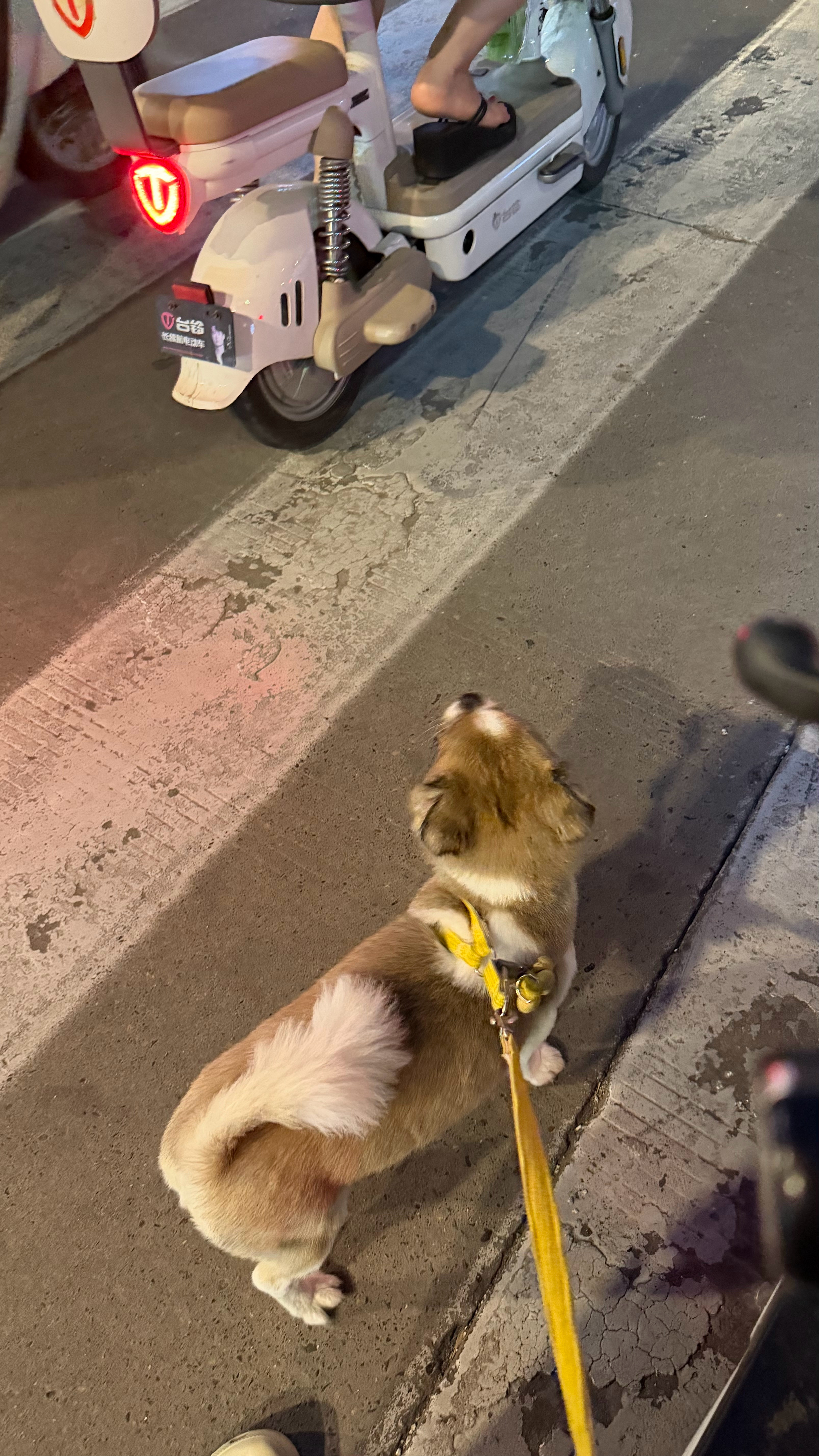 晚上凉快了之后出门欲望直接一个大提升 
