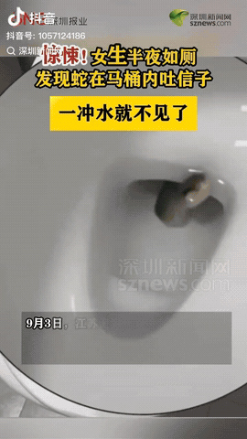 江苏无锡，女子半夜如厕所，突然发现一条蛇在马桶内吐信子，她吓得腿都发软了，然后一