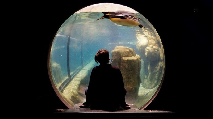 总是这样，一瞬间想通了，释然了，在下一秒又想不通了。大道理都懂，可小情绪却难自控